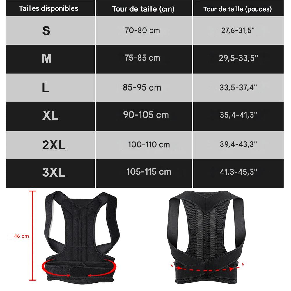 Réparateur de postures dorsale