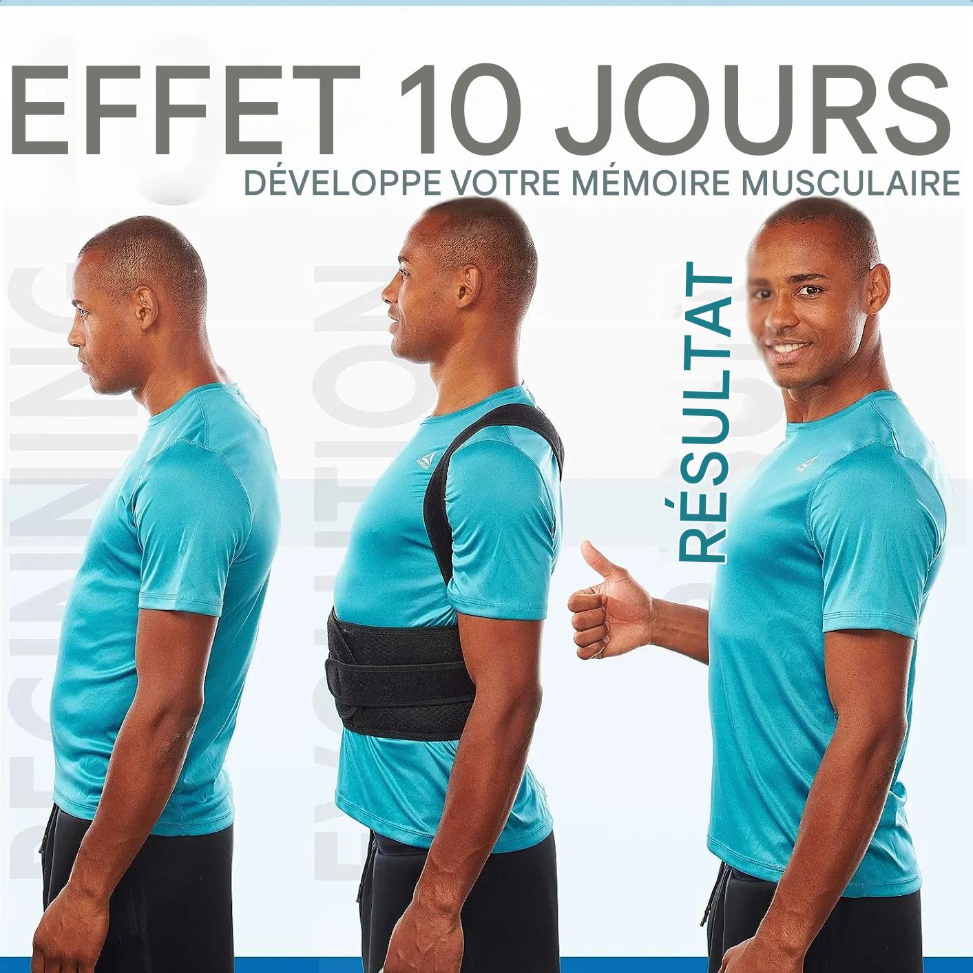 Réparateur de postures dorsale